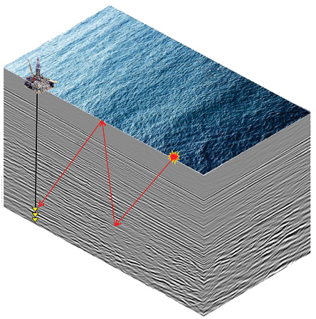 Seismic Reflection