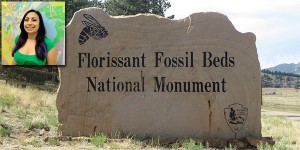 Bridget Borce Florissant Fossil Beds Internship